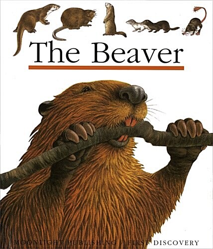 The Beaver (Paperback)