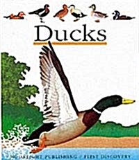Ducks (Hardcover)