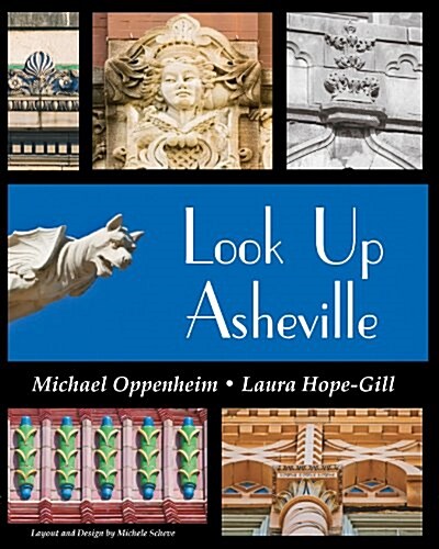 Look Up Asheville (Hardcover)