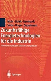 Zukunftsf?ige Energietechnologien F? Die Industrie: Technische Grundlagen, ?onomie, Perspektiven (Hardcover, 1998)