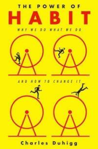 The Power of Habit: Why We Do What We Do in Life and Business (Hardcover)