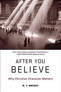 After You Believe: Why Christian Character Matters (Paperback)