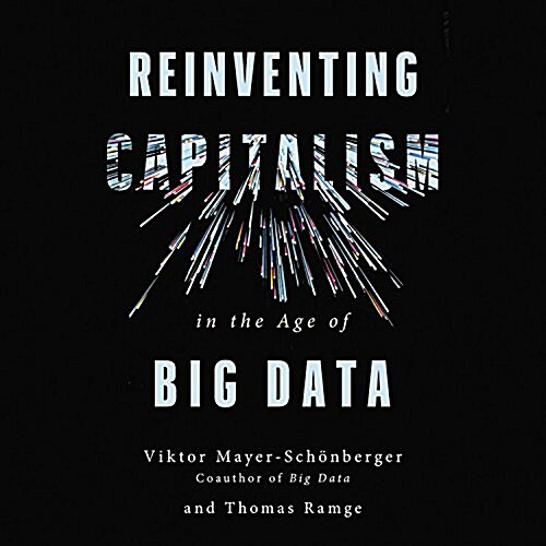 Reinventing Capitalism in the Age of Big Data (Audio CD, Unabridged)