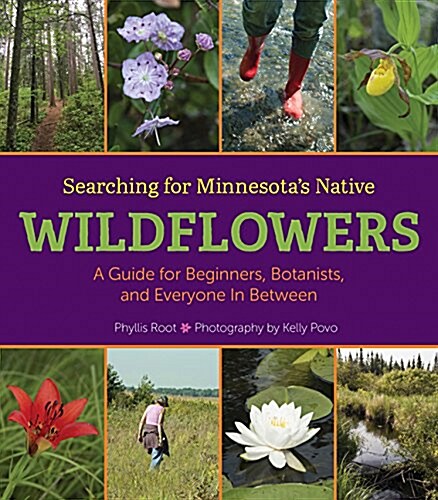 Searching for Minnesotas Native Wildflowers: A Guide for Beginners, Botanists, and Everyone in Between (Hardcover)