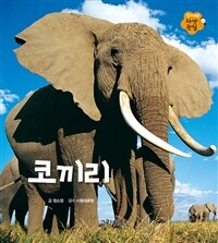 알기쉬운 자연관찰 : 코끼리