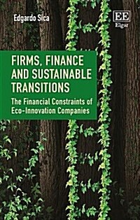 Firms, Finance and Sustainable Transitions : The Financial Constraints of Eco-Innovation Companies (Hardcover)