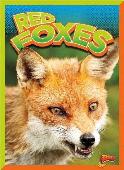 Red Foxes (Paperback)