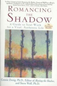 Romancing the shadow : a guide to soul work for a vital, authentic life 1st trade pbk. ed