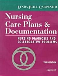 Nursing Care Plans & Documentation (Paperback)
