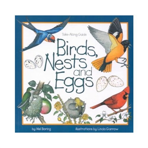 [중고] Birds, Nests & Eggs (Paperback)