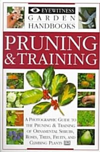 Pruning & Training (Paperback)