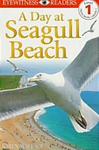 [중고] A Day at Seagull Beach (Paperback)