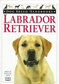 Labrador Retriever (Paperback)