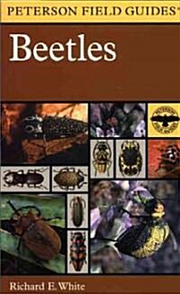 A Field Guide to the Beetles of North America (Paperback)