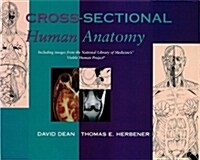 Cross-Sectional Human Anatomy (Spiral)