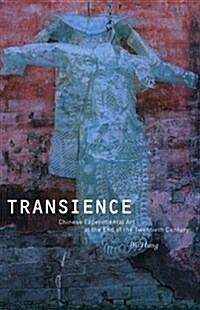 Transience (Paperback)