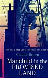 Manchild in the Promised Land (Paperback)