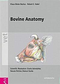 Bovine Anatomy (Hardcover)