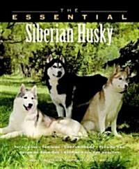 The Essential Siberian Husky (Paperback)