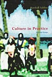 Culture in Practice: Selected Essays (Hardcover)