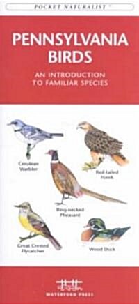 Pennsylvania Birds: A Folding Pocket Guide to Familiar Species (Paperback)