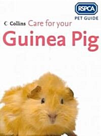 Care for your Guinea Pig (Paperback, New ed)