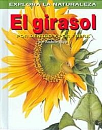 El Girasol: Por Dentro Y Por Fuera (Sunflower: Inside and Out) = Sunflower (Library Binding)