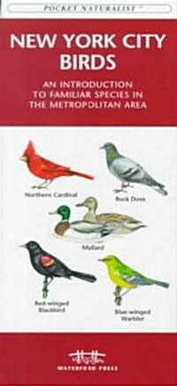New York City Birds: A Folding Pocket Guide to Familiar Species in the Metropolitan Area (Paperback)