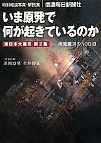 いま原發で何が起きているのか―原發震災の100日 特別報道寫眞·解說集 東日本大震災〈第2集〉 (大型本)