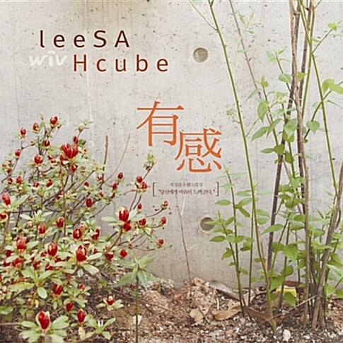 리싸 (leeSA) - leeSA wiv Hcube