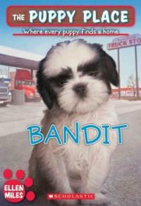 Bandit (Paperback)