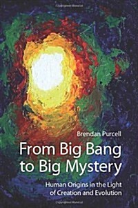 From Big Bang to Big Mystery: Human Origins in the Light of Creation and Evolution (Paperback)