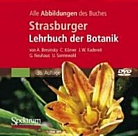 Strasburger Botanik (DVD)