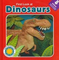 First Look at Dinosaurs (Board Book, Pass Code)