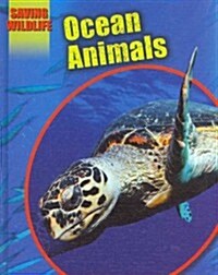 Ocean Animals (Hardcover)