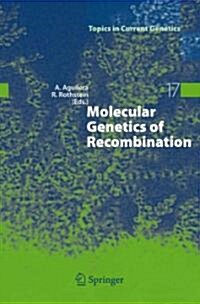 Molecular Genetics of Recombination (Paperback)