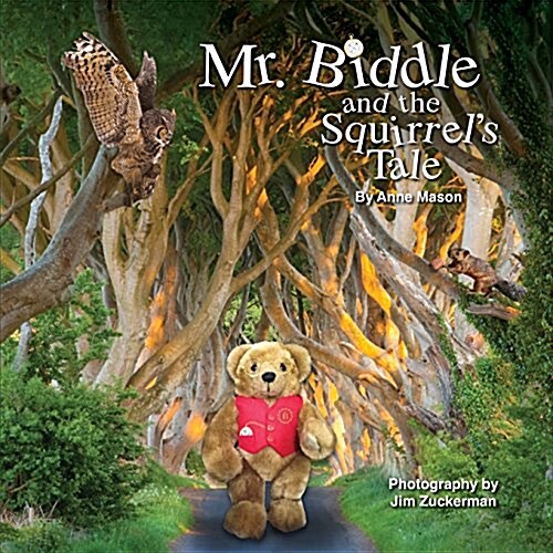 Mr. Biddle and the Squirrels Tale (Paperback)