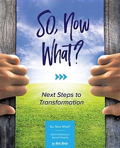 So Now What?: Next Steps to Transformation (Paperback)