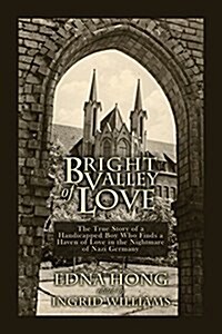 Bright Valley of Love (Paperback)