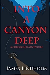 Into a Canyon Deep (Paperback)