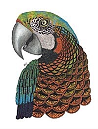 Tangleeasy Lined Journal Parrot (Hardcover)
