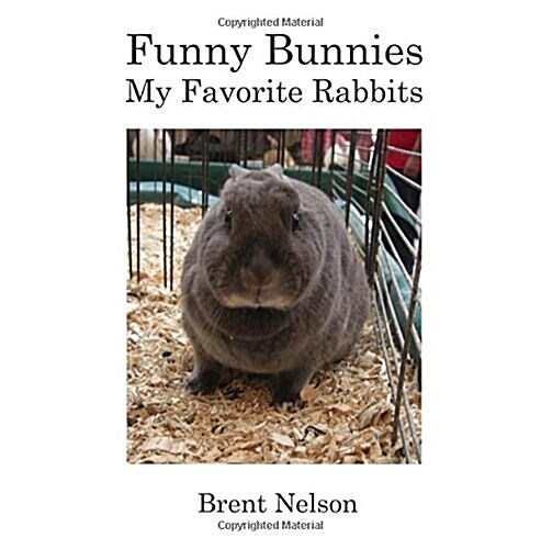 Funny Bunnies: My Favorite Rabbits (Paperback)