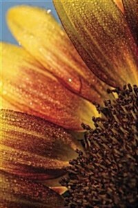Notes: Flower and Sky, 6 x 9, lined journal, blank book notebook, durable cover,100 pages for writing (Paperback)