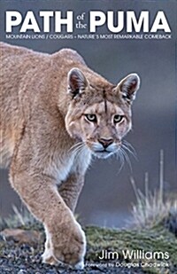 Path of the Puma: The Remarkable Resilience of the Mountain Lion (Hardcover)