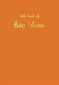 Little Book of Big Ideas, Sketchbook Orange, Sketchbook 200 Pages: Softcover Blank Journal, Diary, Chic and Stylish Notebook, Sketchbook, Personal Dia (Paperback)
