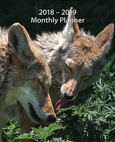 2018-2019 Monthly Planner: Coyotes of Wolf Park (Willow & Twister) (Paperback)