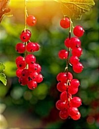 Red Currants Notebook 350 Lined Pages 8.5 X 11 Glossy Softcover (Paperback)