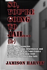 So, Youre Going to Jail...: The Ghetto Chronicles: Amusing, Serious, Informative, and (Sometimes) Racist Tales from a First Timers One-Year Stint (Paperback)
