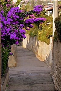 Purple Flowers and a Narrow Lane in Italy Journal: 150 Page Lined Notebook/Diary (Paperback)