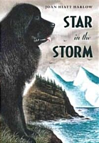 Star in the Storm (Hardcover)
